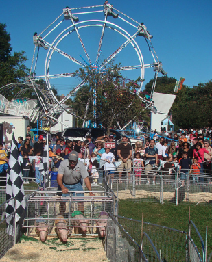 Queens County Fair