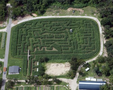 Cornmaze2012QCFM