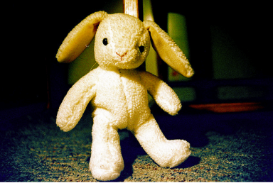 The Velveteen Rabbit