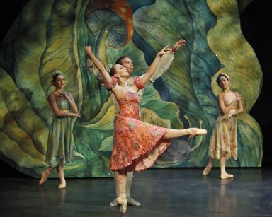 Sleeping Beauty, from NYTB’s 2012-2013 season 3 — photo by Richard Termine