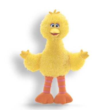 bigbird