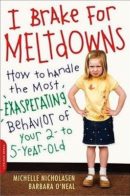 The Meltdown Book – New York Family