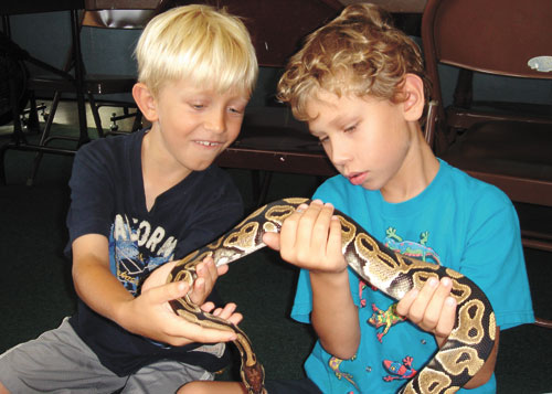 Kids can learn about animals at the center – and help to brush and feed ...