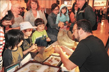 ID your treasures at the AMNH