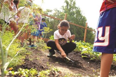 Gardening