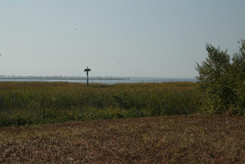 Jamaica Bay Wildlife Refuge: West Pond