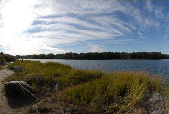 Pelham Bay Park: Turtle Cove 