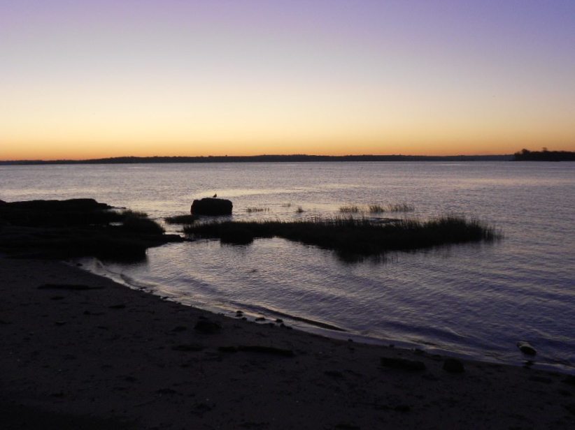 Pelham Bay Park: Twin Island 