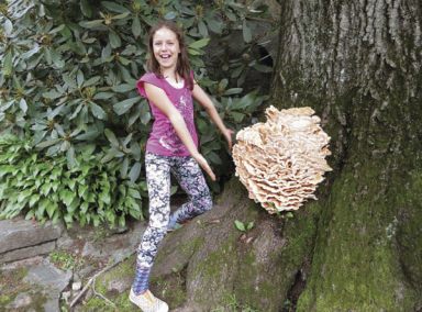 Wild Time: Family mushroom foraging tour in Prospect Park with ‘Wildman’ Steve Brill