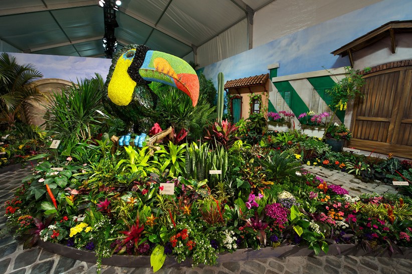 Macy's Flower Show