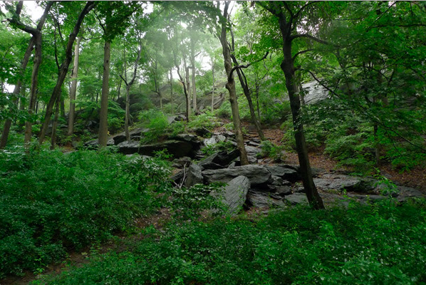 Inwood Hill Park