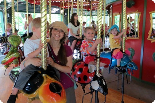 Bug Carousel