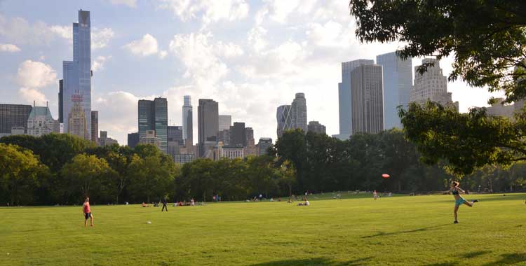 Picnic in the Park 