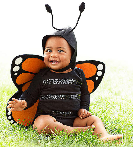 Baby Butterfly