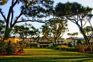 resort with trees surrounding the grounds