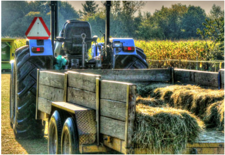  Schmitt’s Family Farm