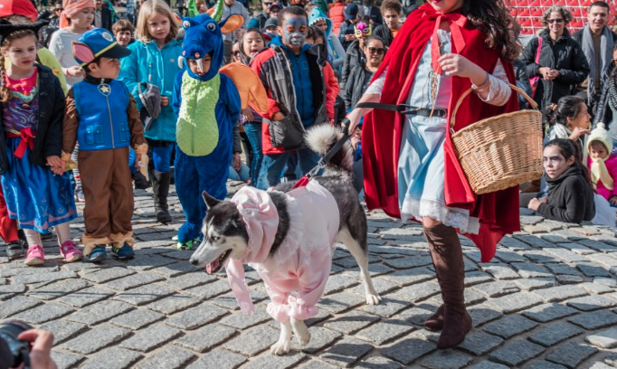 Halloween Harvest Festival