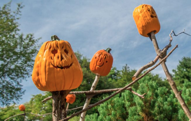 Spooky Pumpkin Night