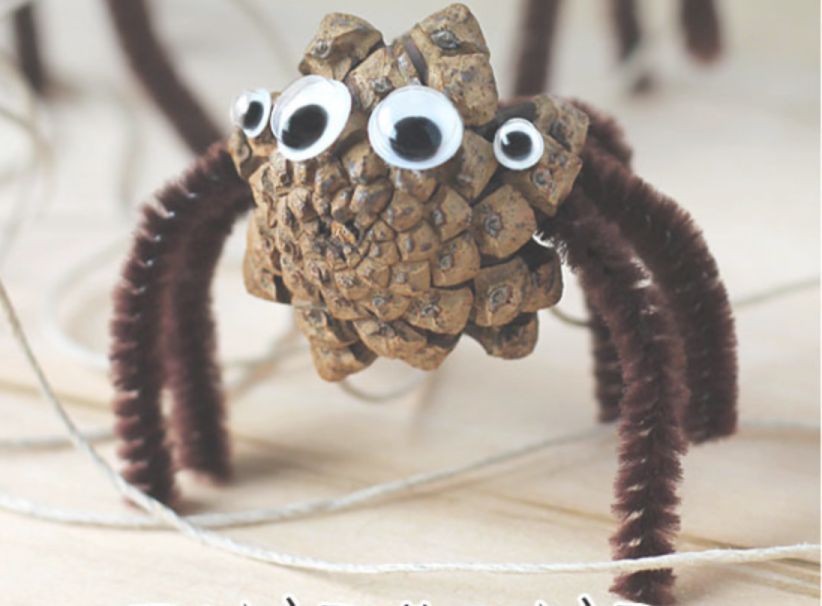 pinecone spider