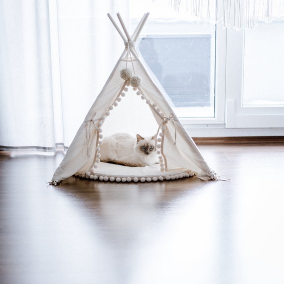 Mini Camp Pet Teepee