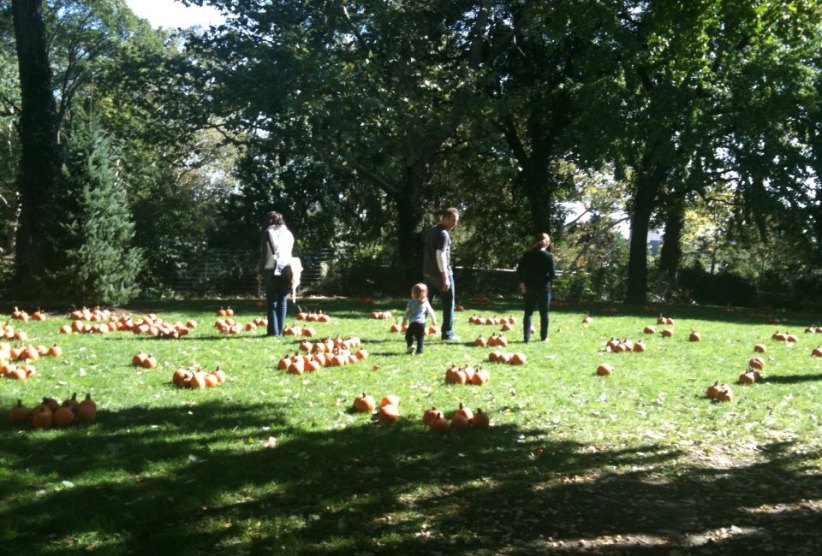 Harvest Festival at Carl Schurz Park