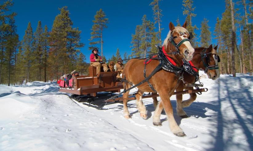 Horseback Riding at Lake Placid