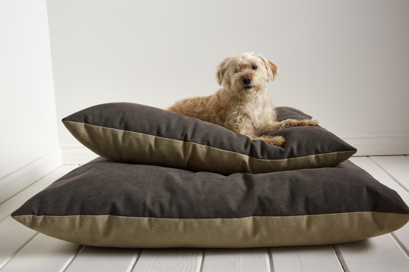 Parachute Dog Bed