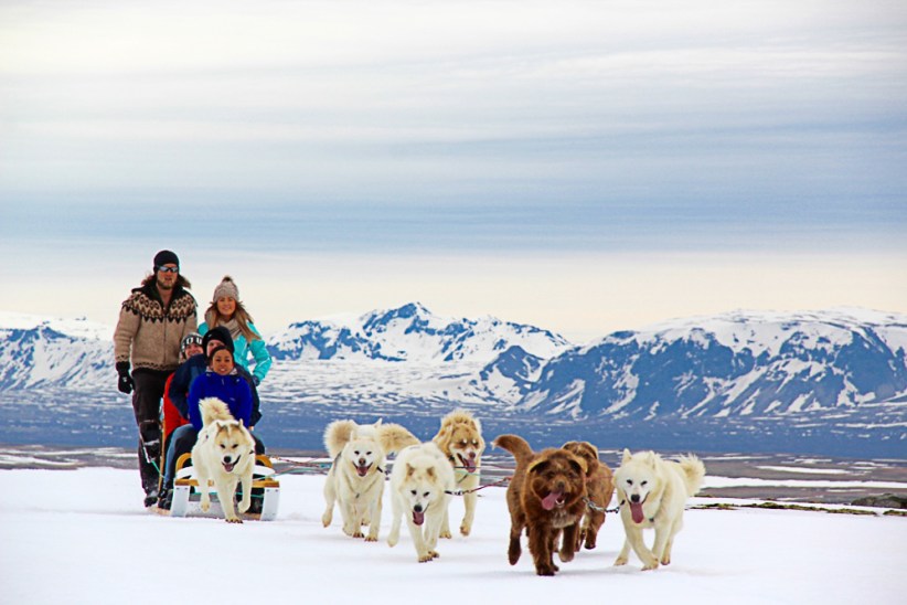 Dog Sledding At Hilltown Sleddogs 