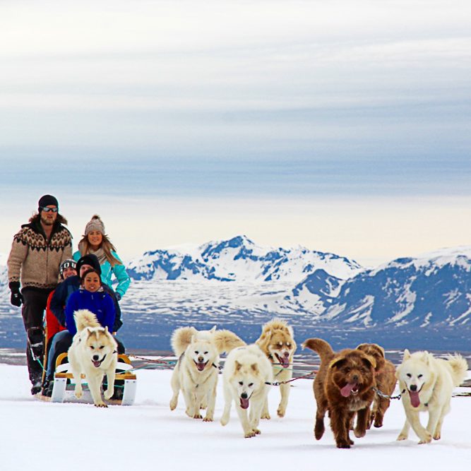 dog_sledding