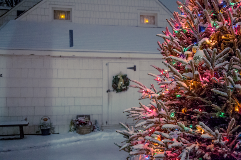 Tree Lighting Ceremony