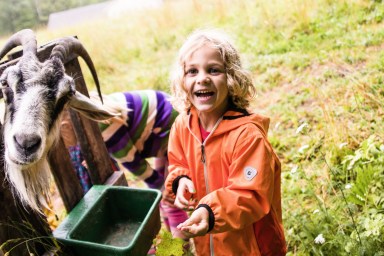 little kid at summer camp feeding a goat