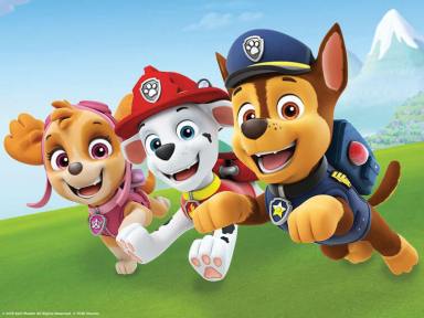 PAW patrol