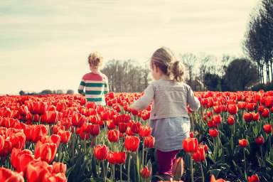 children in a flower field