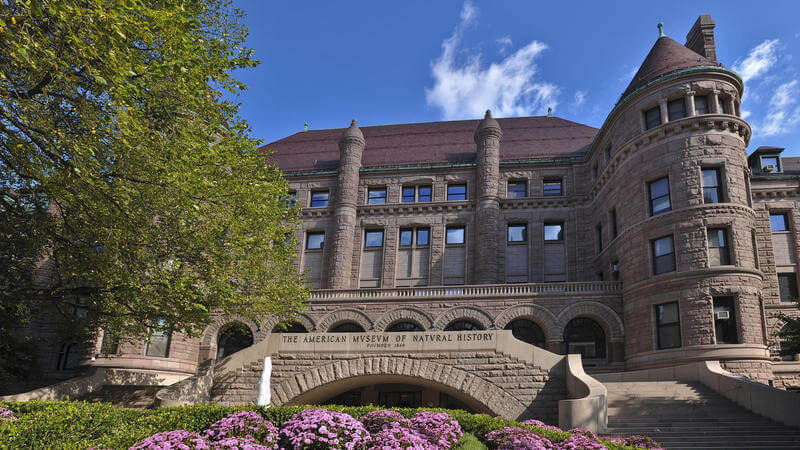 American Museum of Natural History