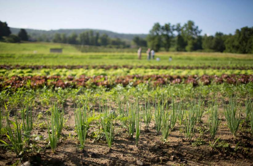 Fishkill Farms