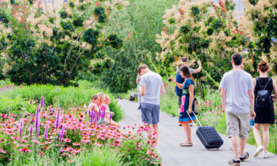 Walk The High Line