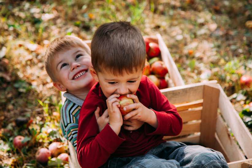 Fruit Picking at Fishkill Farms 