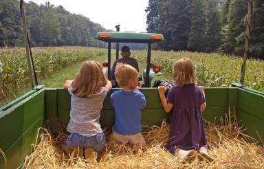 hayrides