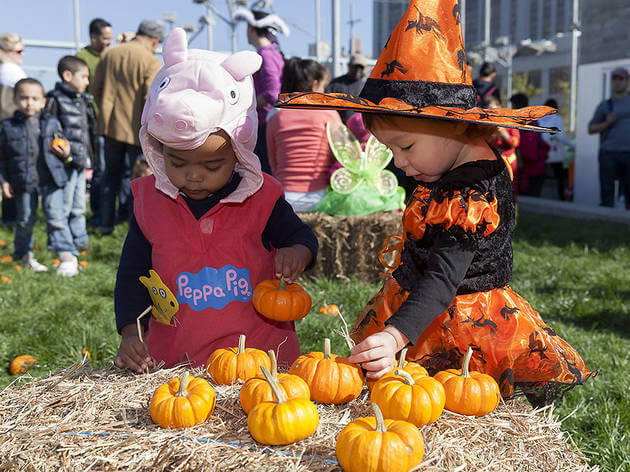 Harvest Festival