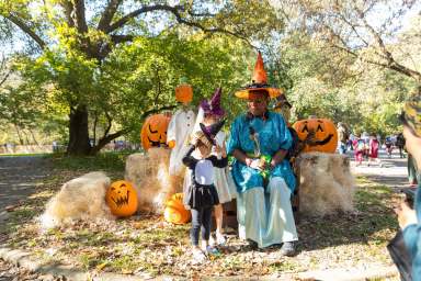 Halloween Walk Hay