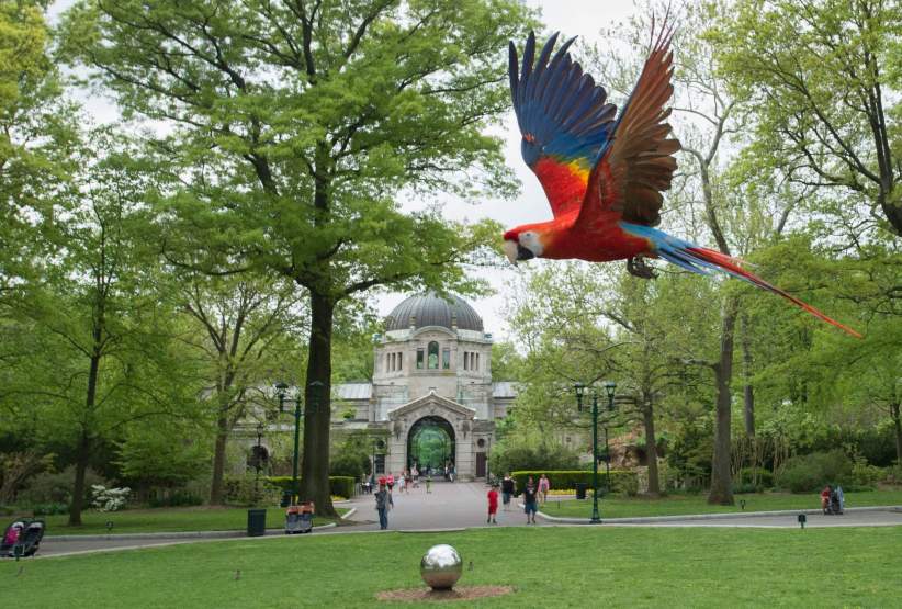 Bronx Zoo Mornings: Aquatic Birds – Pelham Parkway