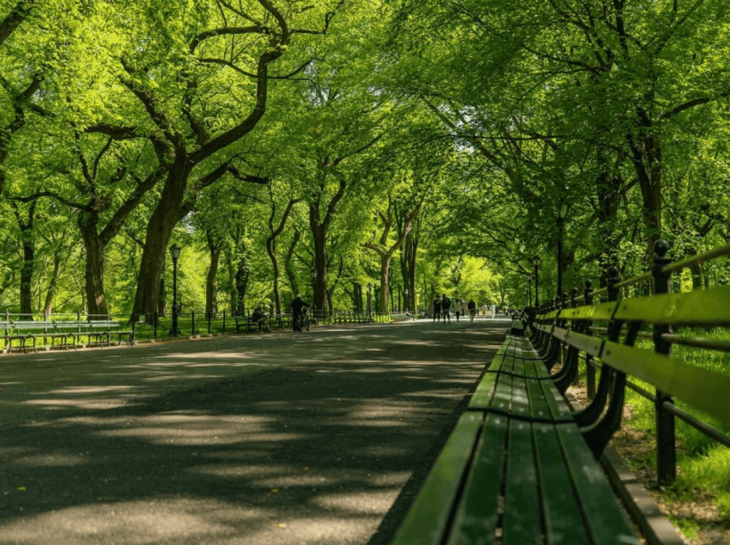 Central Park