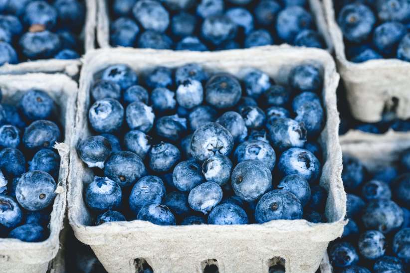 Go Berry Picking Near NYC