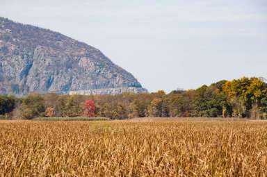 storm king