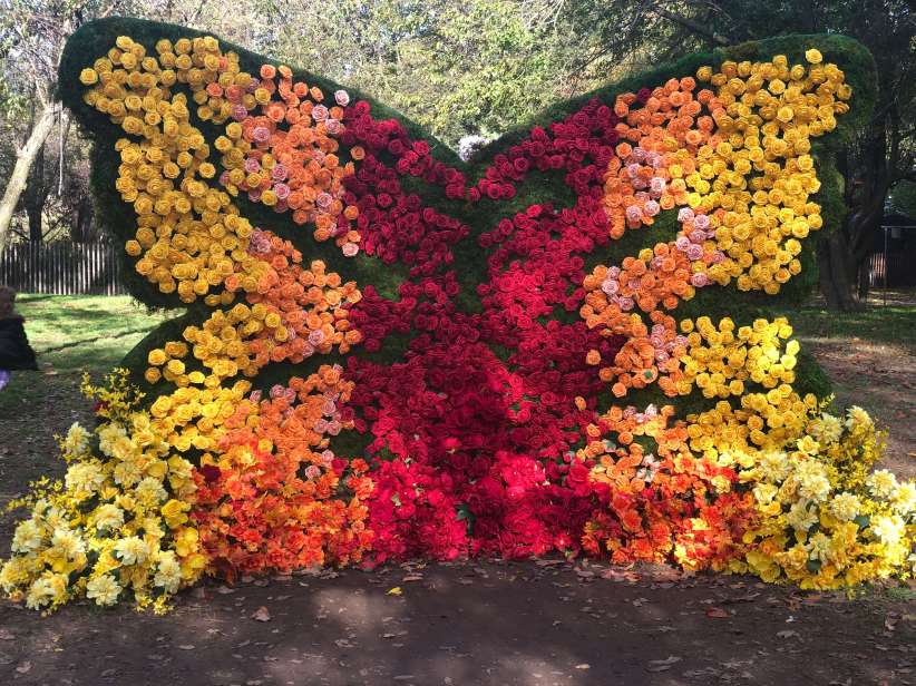 Floral Escape at the Queens County Farm Museum