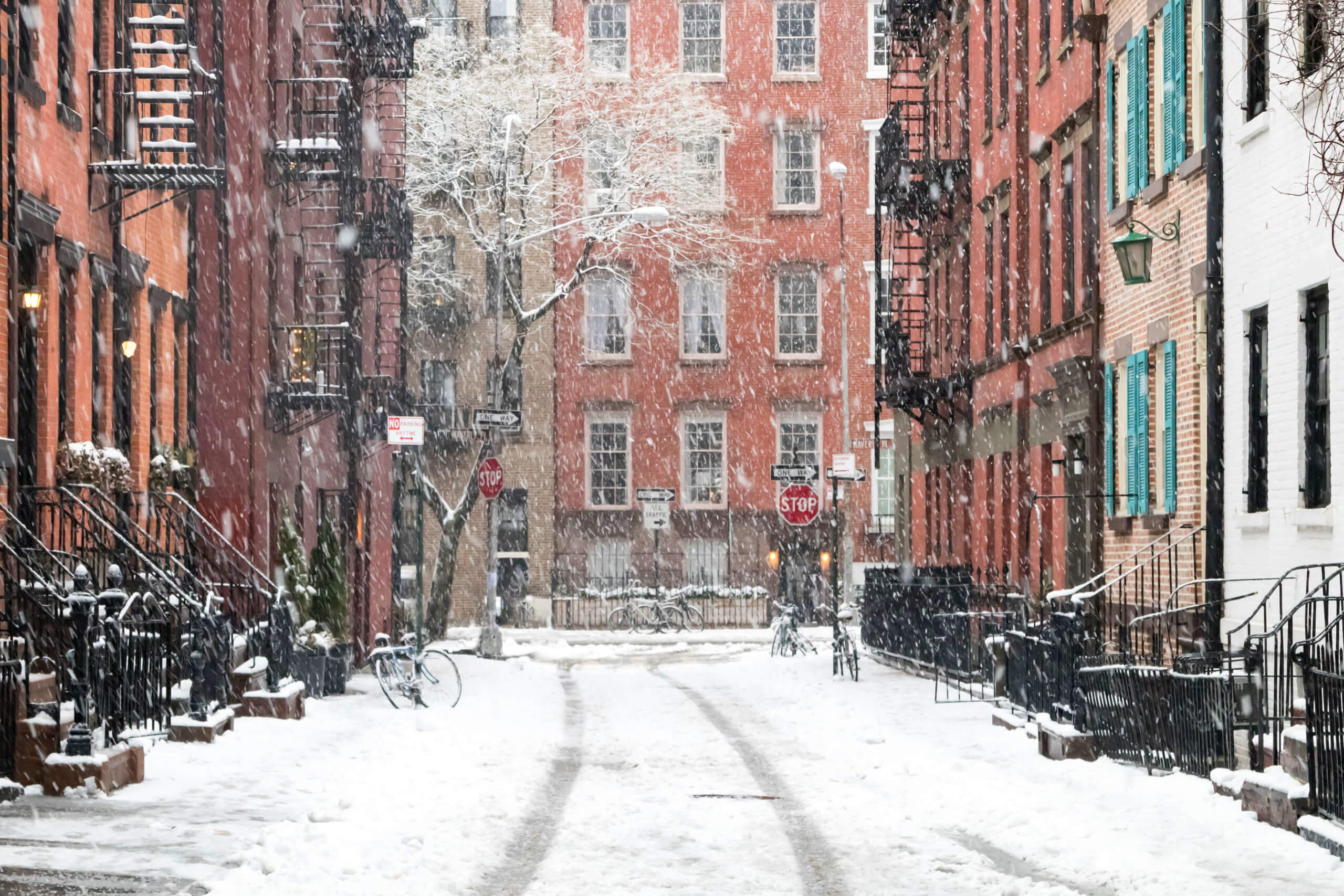 Things to Do in New York City on Cold and Snowy Days