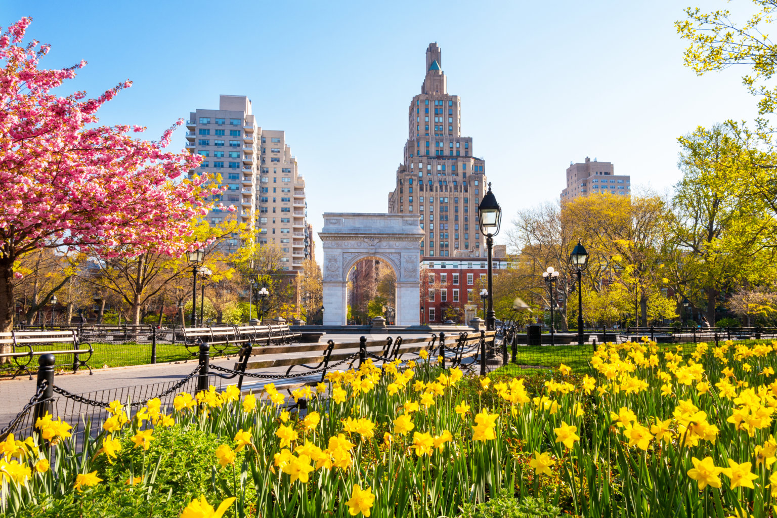 Where to See Spring Flowers in New York New York Family