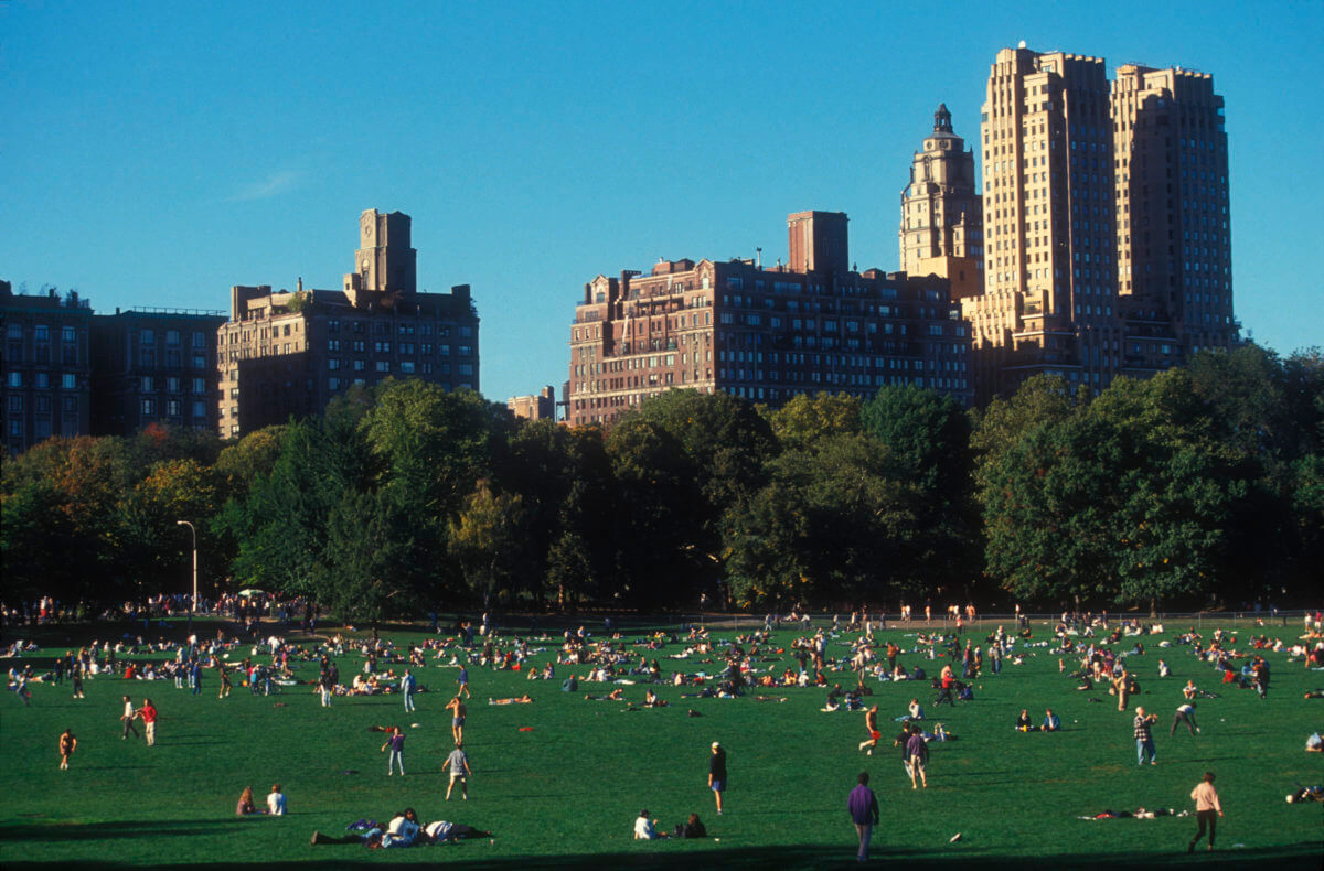 37 Free Things to Do in New York City This Summer