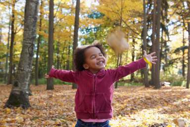 leaf peeping