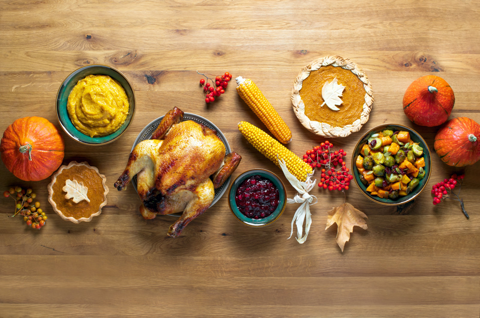 About thanksgiving article